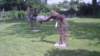 2012 HWK 039_small.jpg